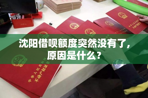 沈阳借呗额度突然没有了,原因是什么？