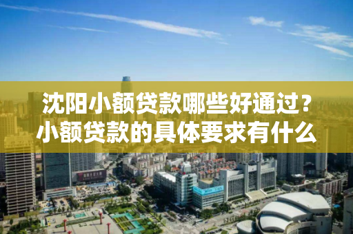 沈阳小额贷款哪些好通过？小额贷款的具体要求有什么？