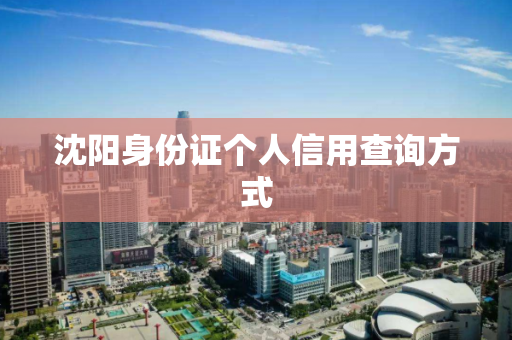 沈阳身份证个人信用查询方式