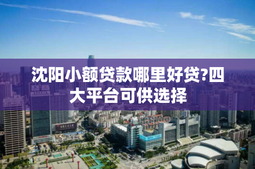 沈阳小额贷款哪里好贷?四大平台可供选择