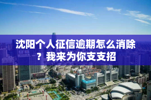 沈阳个人征信逾期怎么消除？我来为你支支招