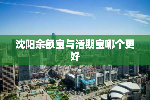 沈阳余额宝与活期宝哪个更好 沈阳余额宝与活期宝哪个更好