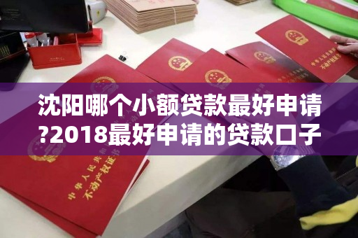 沈阳哪个小额贷款最好申请?2018最好申请的贷款口子