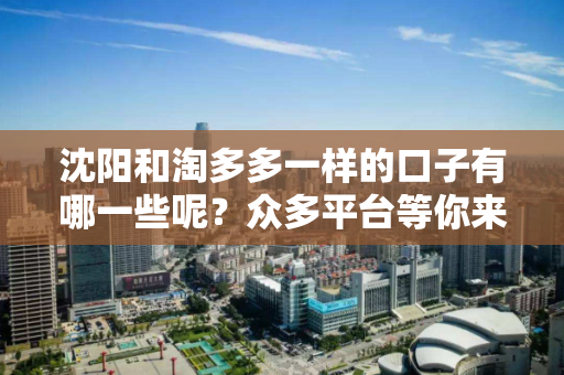 沈阳和淘多多一样的口子有哪一些呢？众多平台等你来