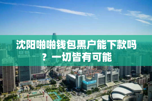 沈阳啪啪钱包黑户能下款吗？一切皆有可能