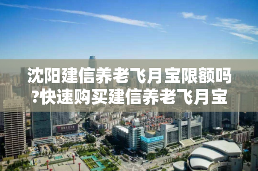 沈阳建信养老飞月宝限额吗?快速购买建信养老飞月宝攻略 沈阳建信养老飞月宝限额吗?快速购买建信养老飞月宝攻略