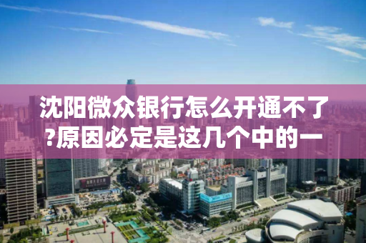 沈阳微众银行怎么开通不了?原因必定是这几个中的一种