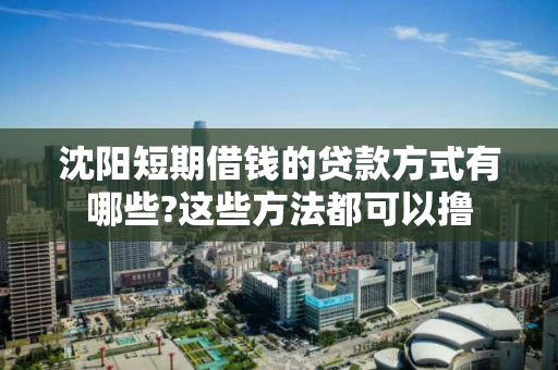 沈阳短期借钱的贷款方式有哪些?这些方法都可以撸