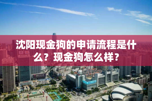 沈阳现金狗的申请流程是什么?现金狗怎么样? 沈阳现金狗的申请流程是什么?现金狗怎么样?