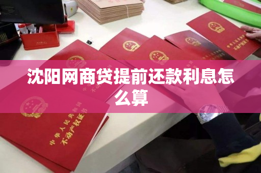 沈阳网商贷提前还款利息怎么算