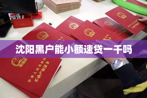 沈阳黑户能小额速贷一千吗