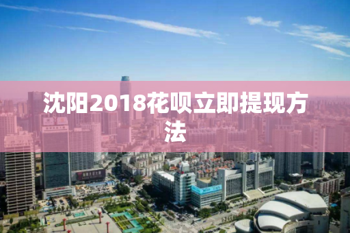 沈阳2018花呗立即提现方法 沈阳2018花呗立即提现方法