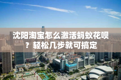 沈阳淘宝怎么激活蚂蚁花呗?轻松几步就可搞定 沈阳淘宝怎么激活蚂蚁花呗?轻松几步就可搞定