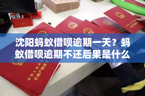 沈阳蚂蚁借呗逾期一天?蚂蚁借呗逾期不还后果是什么? 沈阳蚂蚁借呗逾期一天?蚂蚁借呗逾期不还后果是什么?