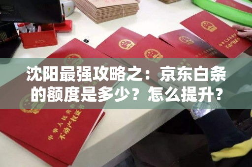 沈阳最强攻略之：京东白条的额度是多少？怎么提升？