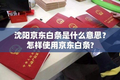 沈阳京东白条是什么意思？怎样使用京东白条?