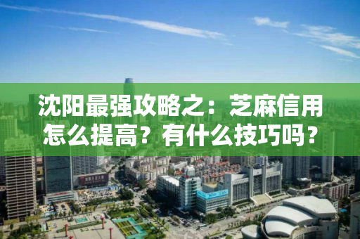 沈阳最强攻略之:芝麻信用怎么提高?有什么技巧吗? 沈阳最强攻略之:芝麻信用怎么提高?有什么技巧吗?