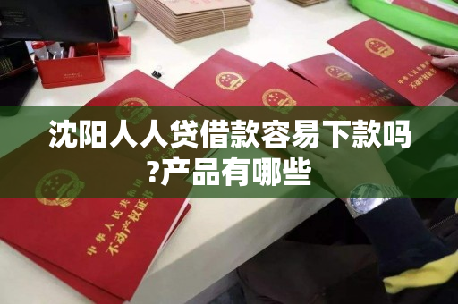 沈阳人人贷借款容易下款吗?产品有哪些