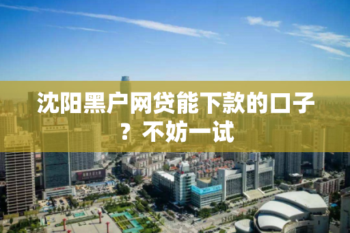 沈阳黑户网贷能下款的口子？不妨一试