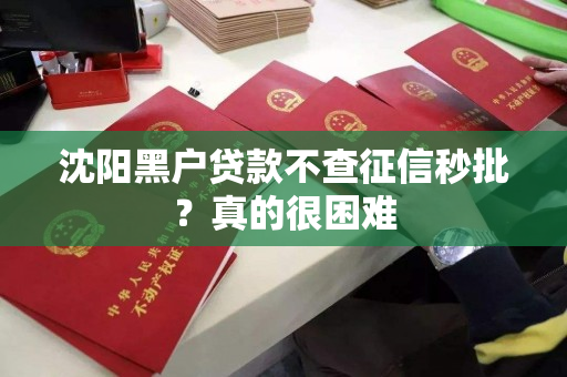 沈阳黑户贷款不查征信秒批？真的很困难