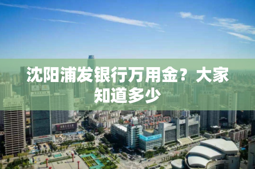 沈阳浦发银行万用金？大家知道多少