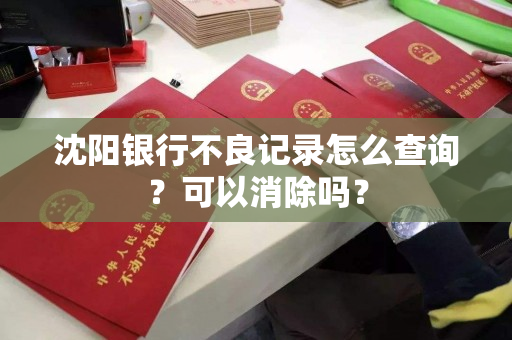 沈阳银行不良记录怎么查询？可以消除吗？