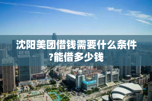 沈阳美团借钱需要什么条件?能借多少钱