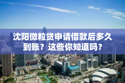 沈阳微粒贷申请借款后多久到账？这些你知道吗？