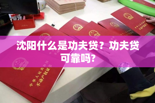 沈阳什么是功夫贷?功夫贷可靠吗? 沈阳什么是功夫贷?功夫贷可靠吗?