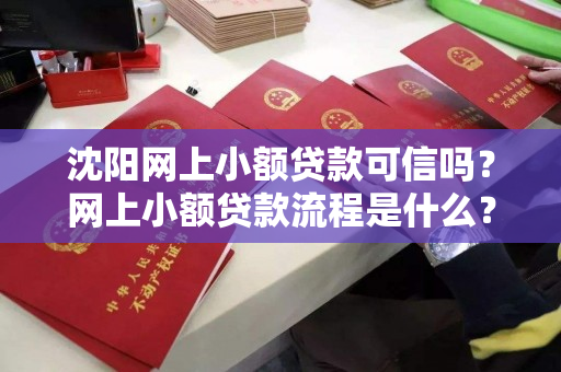 沈阳网上小额贷款可信吗？网上小额贷款流程是什么？