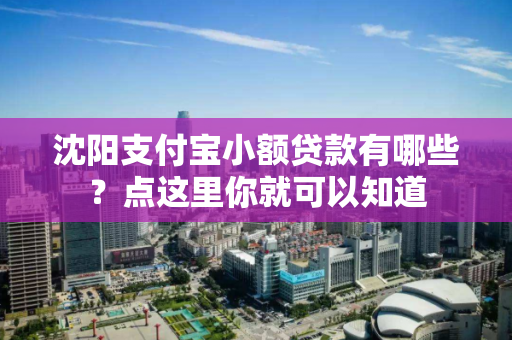 沈阳支付宝小额贷款有哪些？点这里你就可以知道
