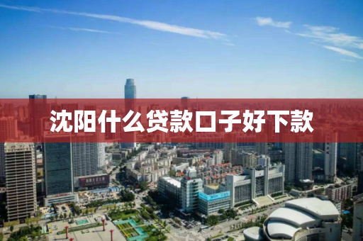 沈阳什么贷款口子好下款