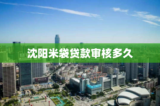 沈阳米袋贷款审核多久