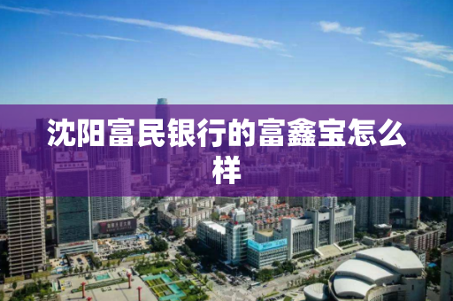 沈阳富民银行的富鑫宝怎么样