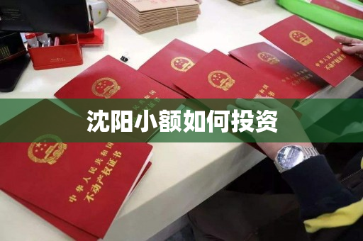 沈阳小额如何投资