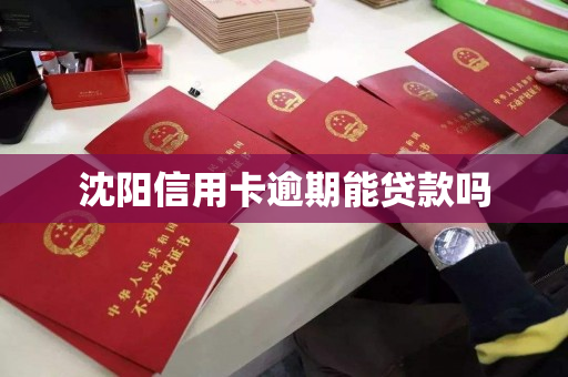 沈阳信用卡逾期能贷款吗 沈阳信用卡逾期能贷款吗