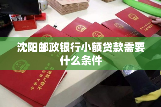 沈阳邮政银行小额贷款需要什么条件