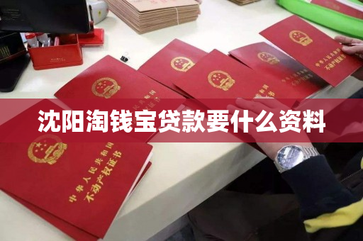 沈阳淘钱宝贷款要什么资料