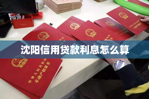 沈阳信用贷款利息怎么算