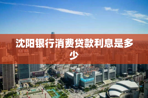 沈阳银行消费贷款利息是多少