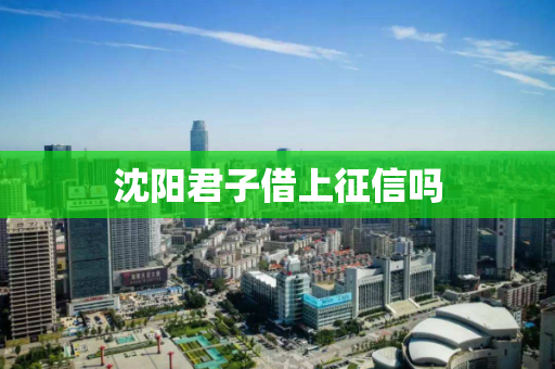 沈阳君子借上征信吗 沈阳君子借上征信吗