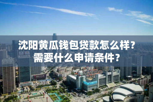 沈阳黄瓜钱包贷款怎么样？需要什么申请条件？