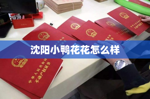 沈阳小鸭花花怎么样 沈阳小鸭花花怎么样