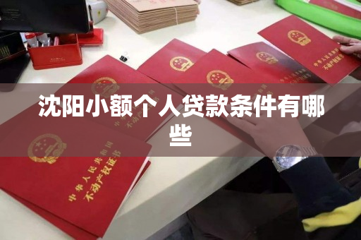 沈阳小额个人贷款条件有哪些