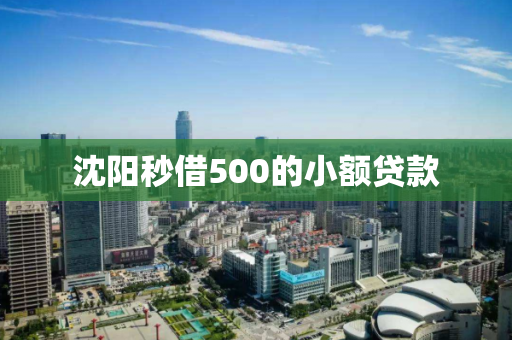 沈阳秒借500的小额贷款