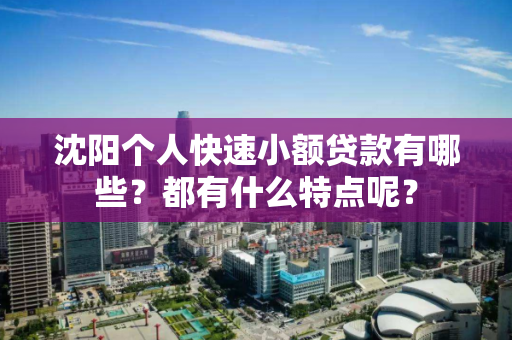 沈阳个人快速小额贷款有哪些？都有什么特点呢？