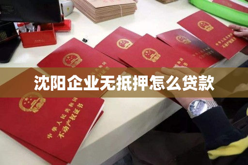 沈阳企业无抵押怎么贷款