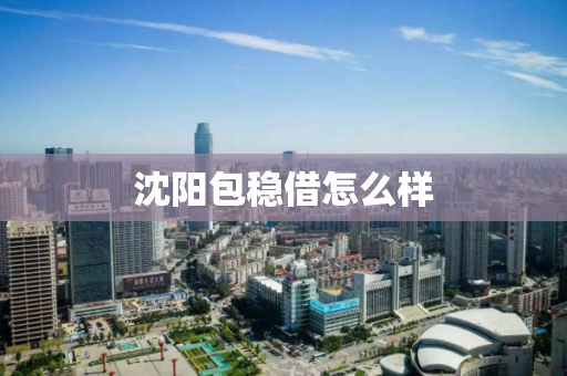 沈阳包稳借怎么样 沈阳包稳借怎么样