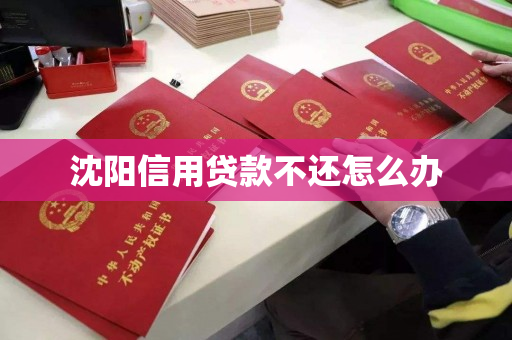 沈阳信用贷款不还怎么办 沈阳信用贷款不还怎么办