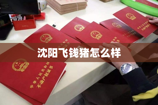 沈阳飞钱猪怎么样 沈阳飞钱猪怎么样